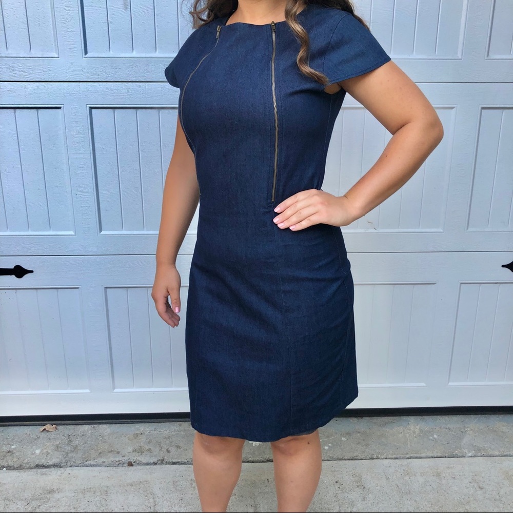 NWT Amelia Stretch Denim Knee Length dress with zipper details size 10